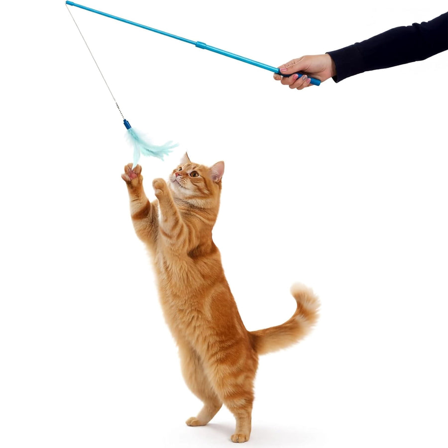 SmartyKat Frisky Flyer Feather Wand Cat Toy